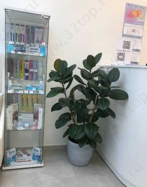 Стоматологическая клиника INEXMED (ИНЭКСМЕД) м. Улица Дыбенко